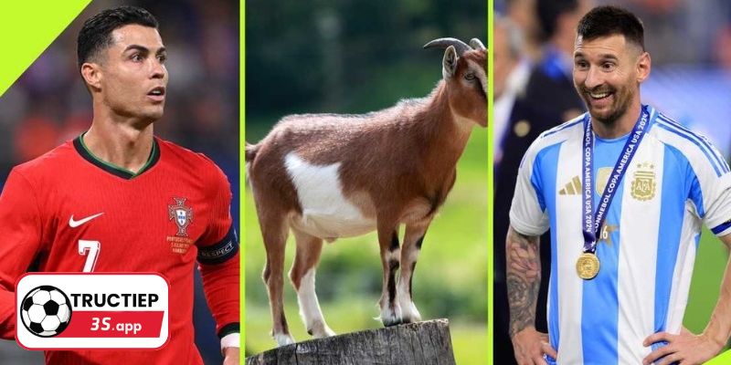 Cách xác định goat trong bóng đá là ai