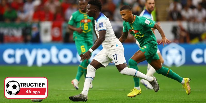 5 link xem trực tiếp bóng đá hấp dẫn nhất