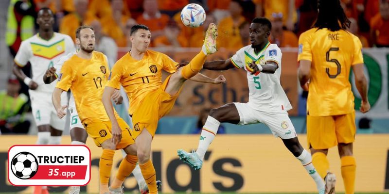 Link xem trực tiếp bóng đá